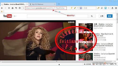 生活妙招爆料视频下载,揭秘视频下载生活妙招  第3张